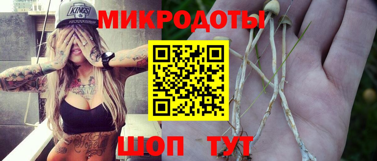 Псилоцибиновые грибы Psilocybe Тара